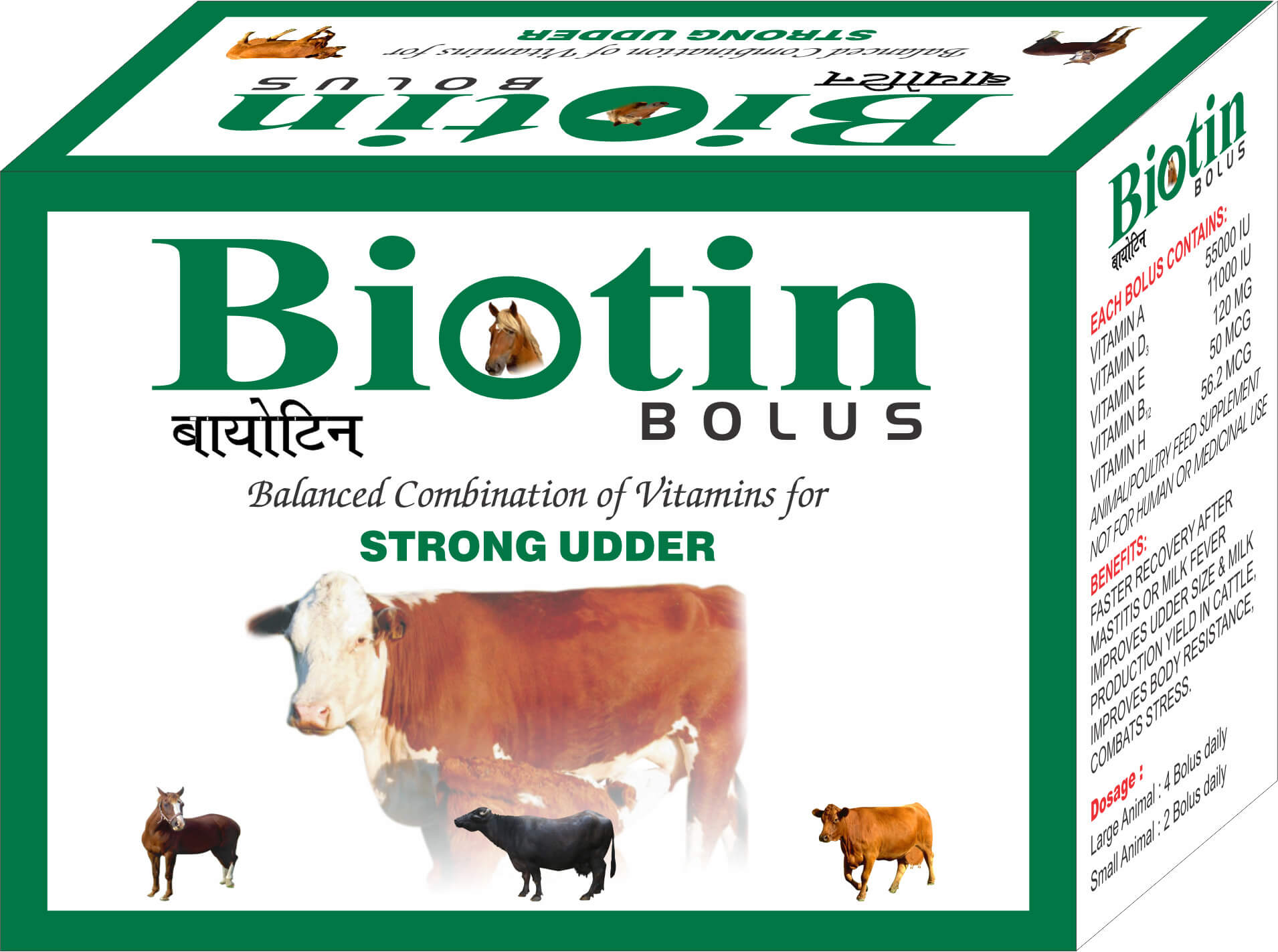 Biotin BOLUS