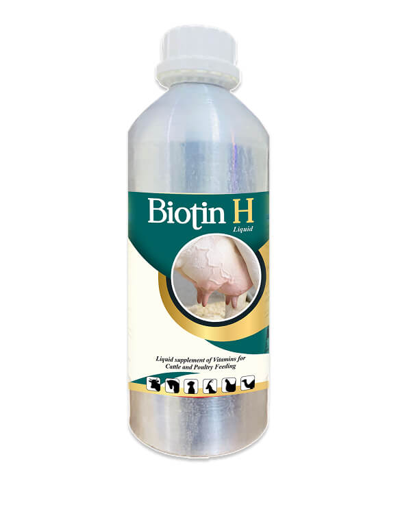 Biotin H Liquid