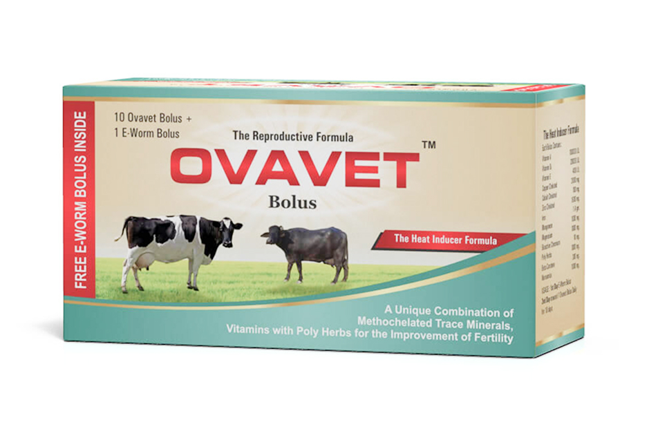 OVAVET™ Bolus